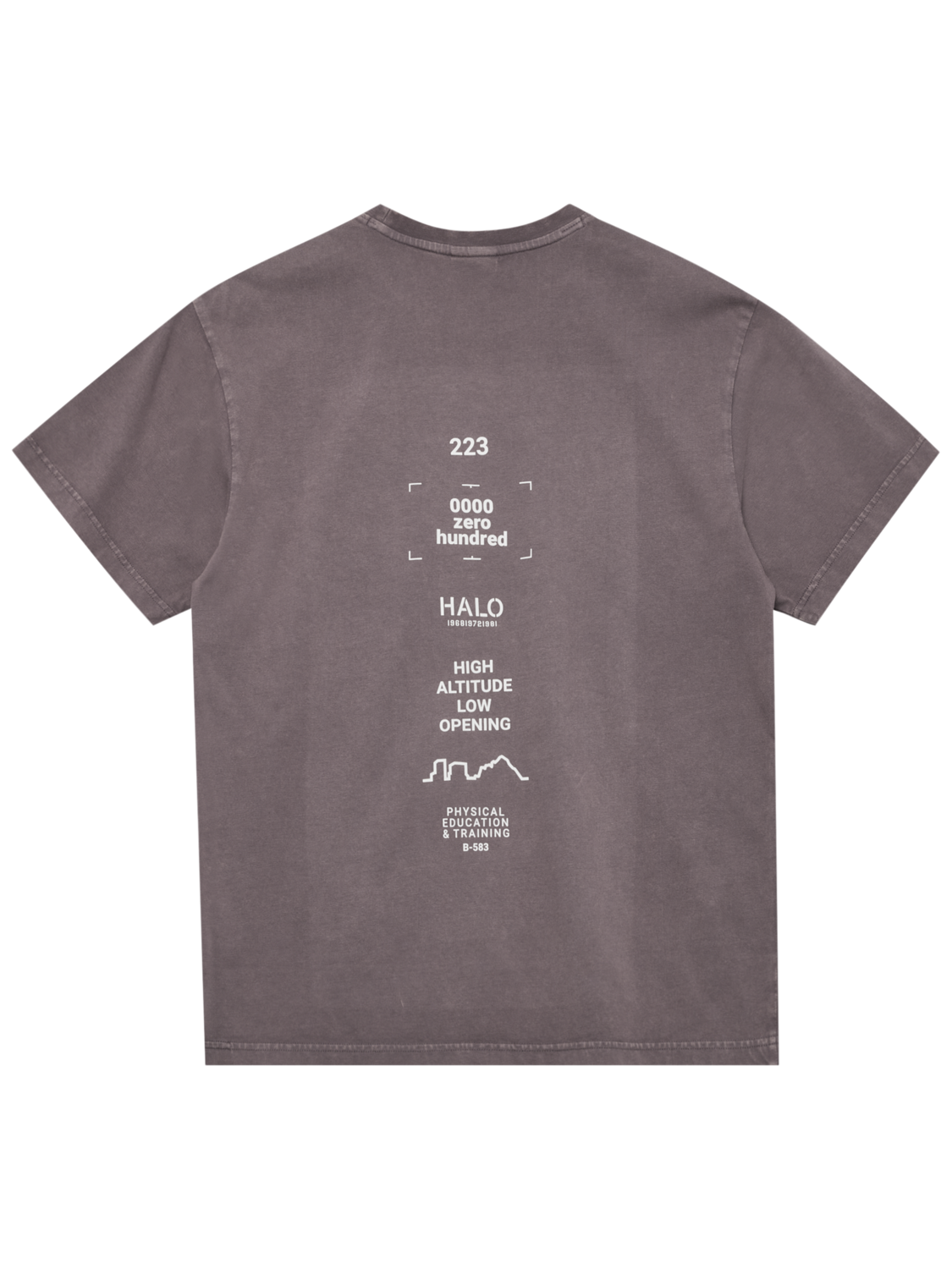 HALO GRAPHIC T-SHIRT, SPARROW, packshot