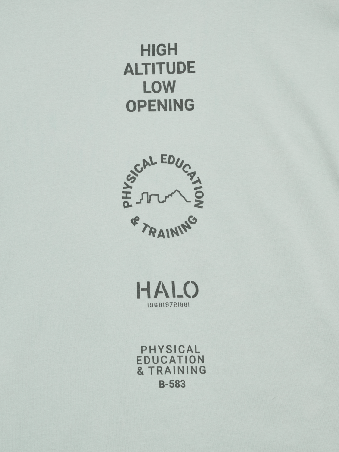 HALO GRAPHIC LOGO BOXY T-SHIRT, STORM GRAY, packshot