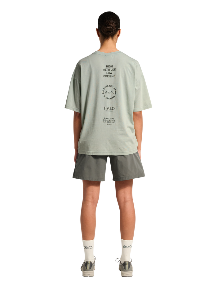 HALO GRAPHIC LOGO BOXY T-SHIRT, STORM GRAY, model