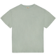 STORM GRAY