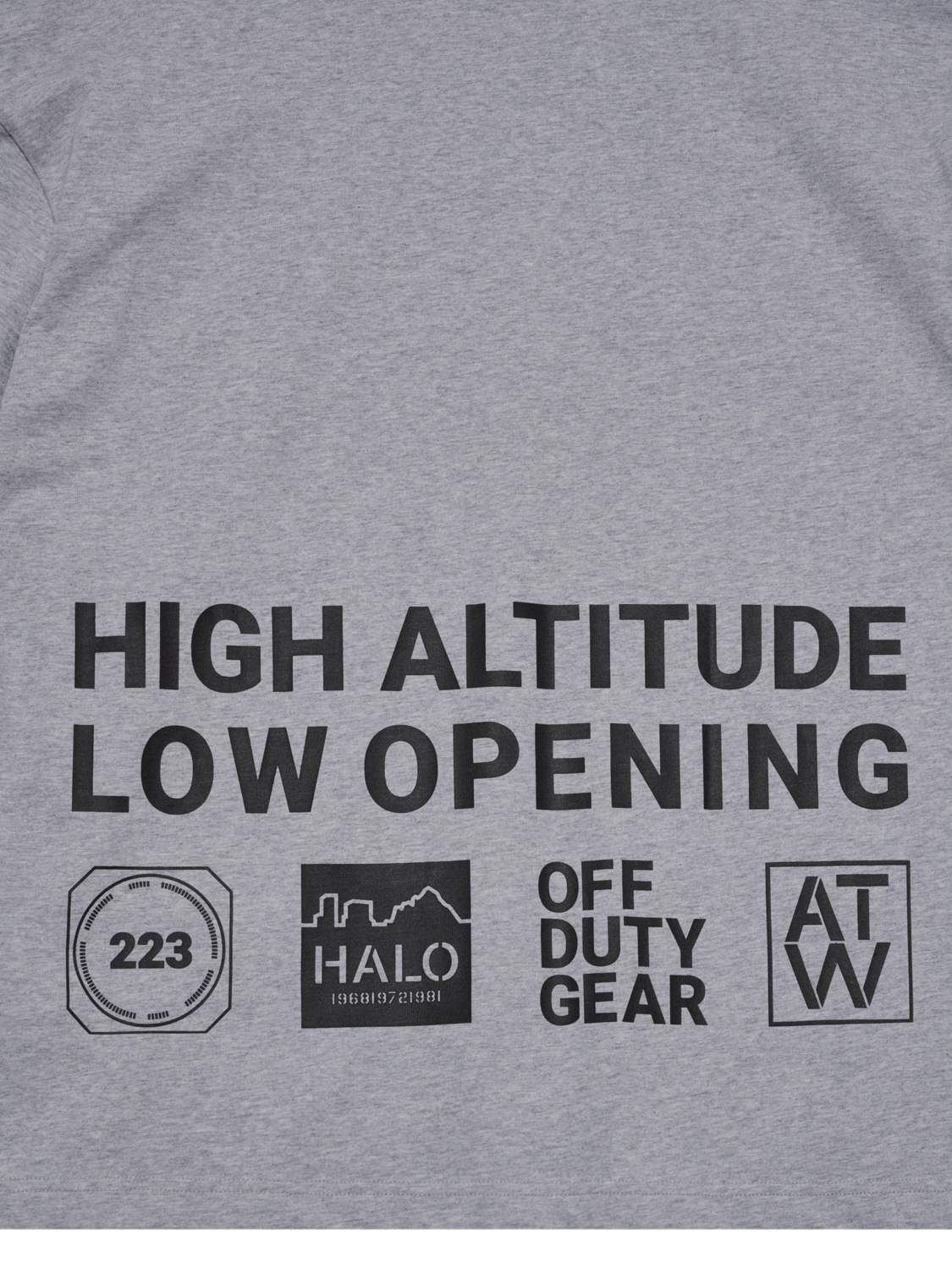 HALO GRAPHIC BOXY T-SHIRT, LIGHT GREY MELANGE/RAVEN, packshot