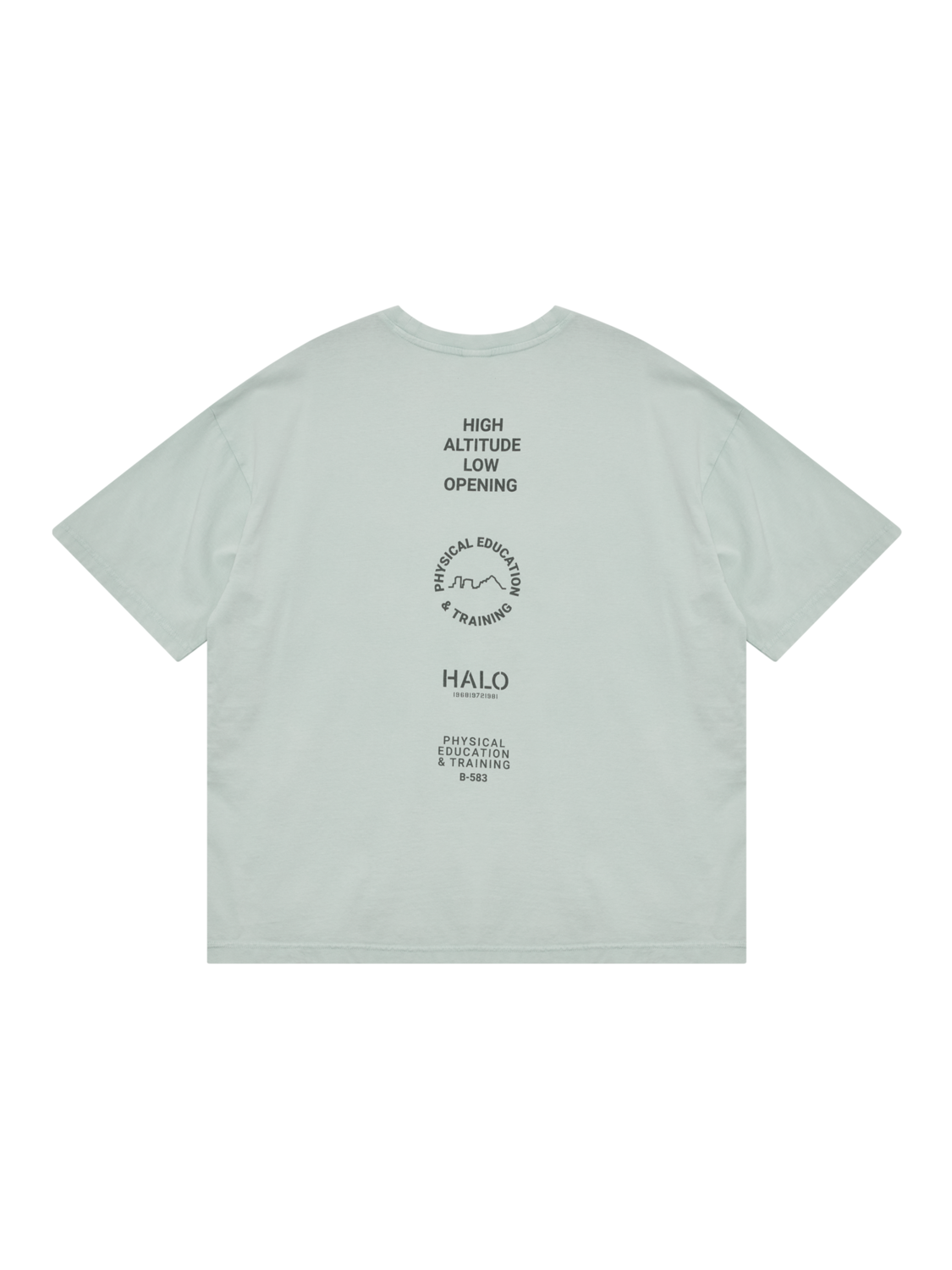 HALO GRAPHIC LOGO BOXY T-SHIRT, STORM GRAY, packshot