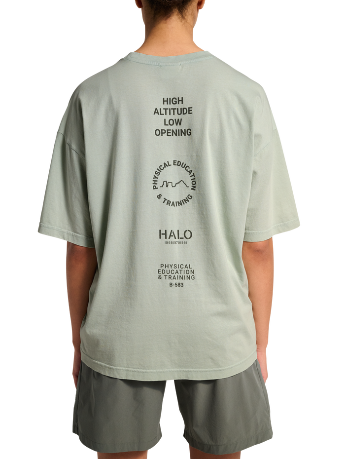 HALO GRAPHIC LOGO BOXY T-SHIRT, STORM GRAY, model