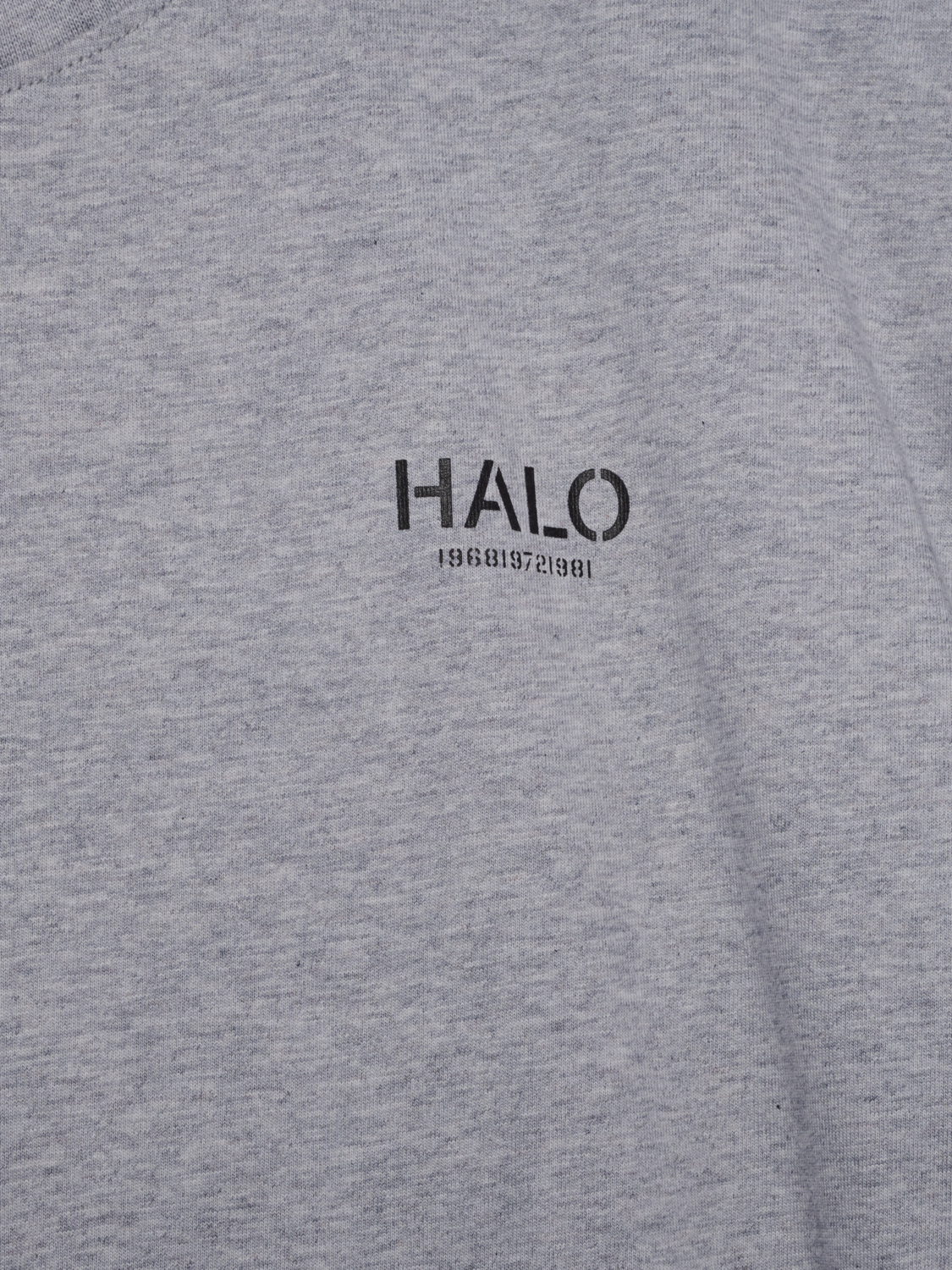 HALO GRAPHIC BOXY T-SHIRT, LIGHT GREY MELANGE/RAVEN, packshot