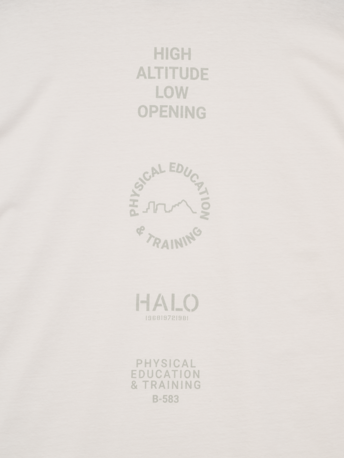 HALO GRAPHIC LOGO BOXY T-SHIRT, MARSHMALLOW, packshot