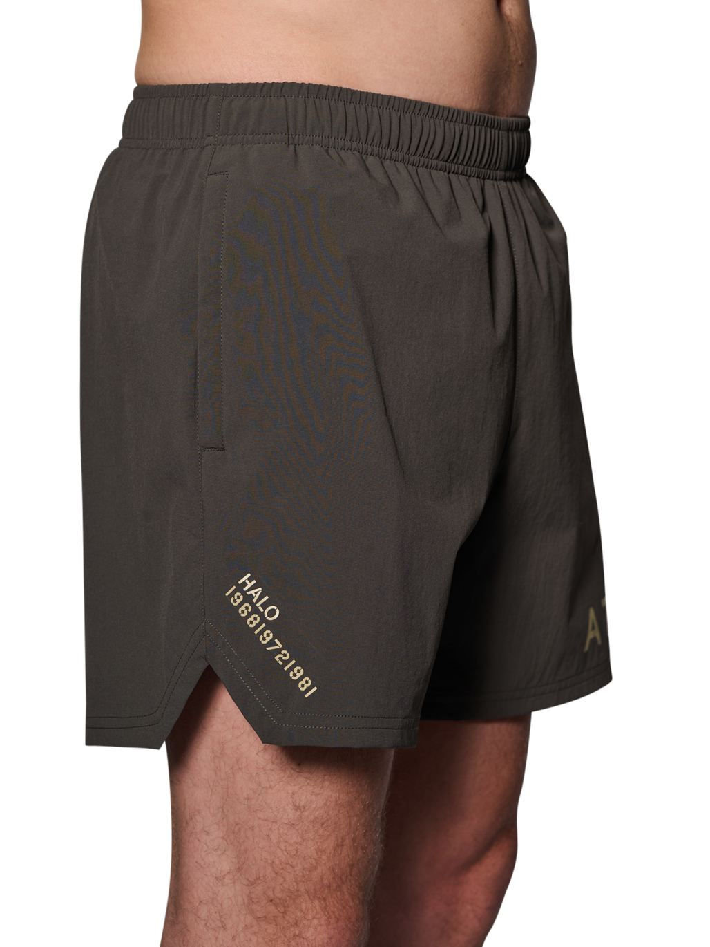 HALO SHORTS, RAVEN, model