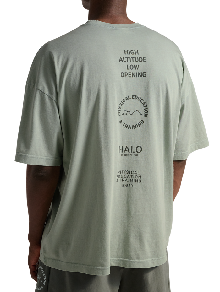 HALO GRAPHIC LOGO BOXY T-SHIRT, STORM GRAY, model