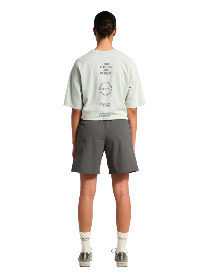 HALO GRAPHIC DIVISION SHORT, GUNMETAL, model