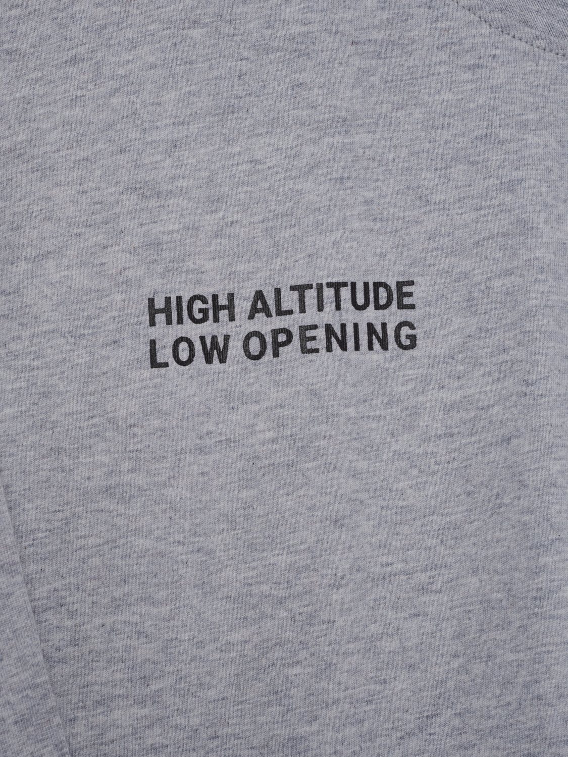 HALO GRAPHIC BOXY T-SHIRT, LIGHT GREY MELANGE/RAVEN, packshot